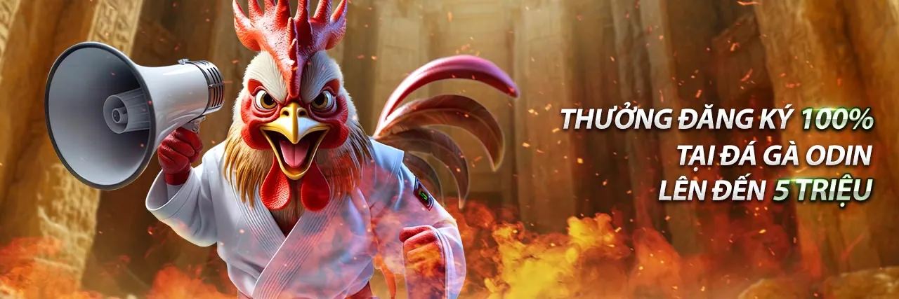 Hoàn trả thua cược (Cashback)